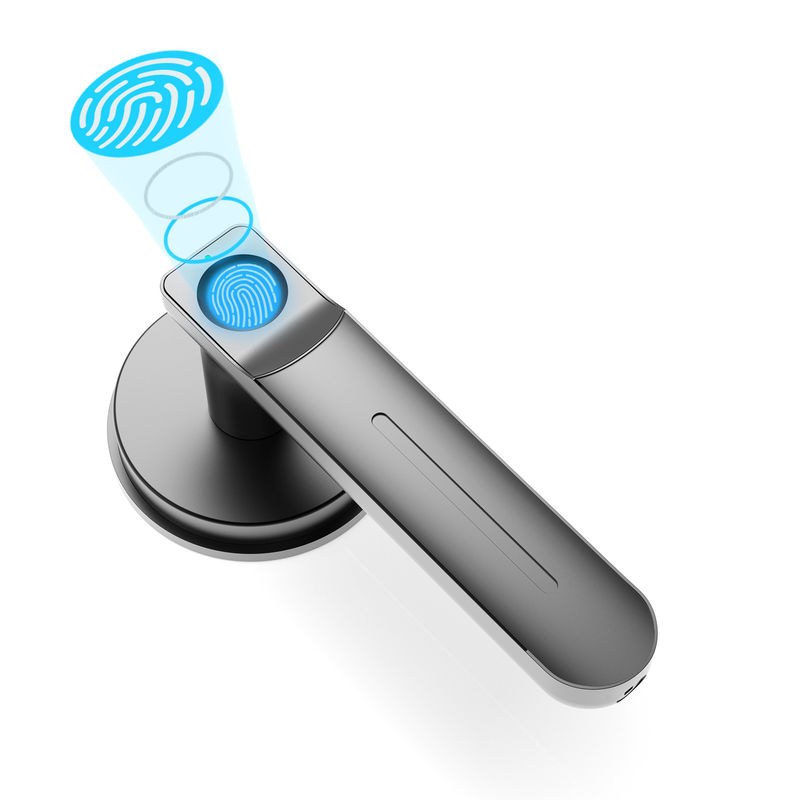 D01 Smart Keyless Entry Door Lock With Handle, Fingerprint Door Lock Do pomieszczenia/biura/aplatamentu