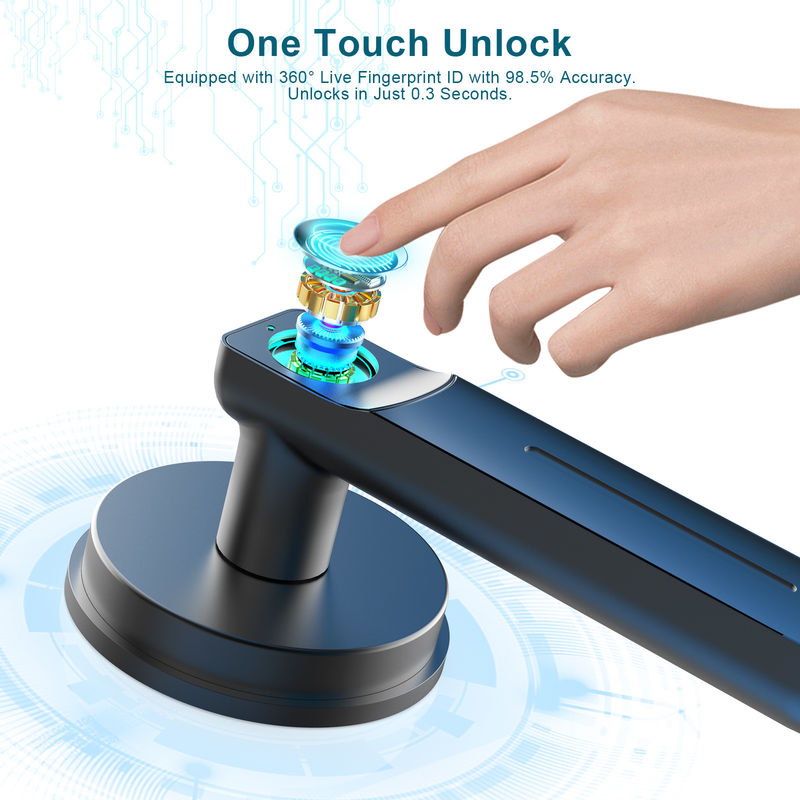 D01 Smart Keyless Entry Door Lock With Handle, Fingerprint Door Lock Do pomieszczenia/biura/aplatamentu